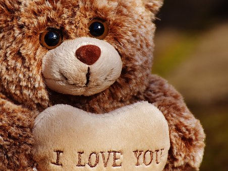 Do teddy bears have feelings?